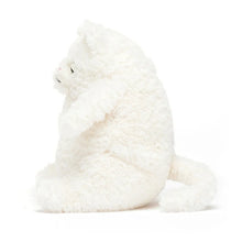 Load image into Gallery viewer, Jellycat Amore Cat Cream Small
